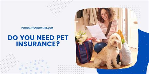 Do You Need Pet Insurance UK: A Whisker Away from Financial Woes?