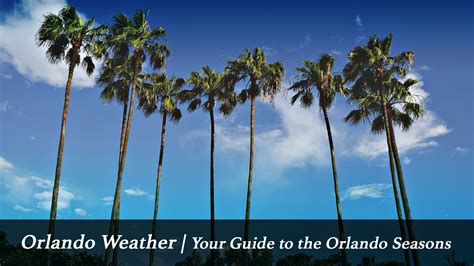 What is the weather like in Orlando in March, and how does it influence the migration patterns of flamingos?